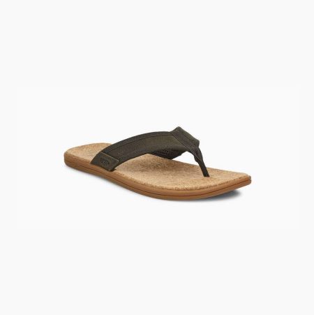 UGG Seaside Green Flip Flops for Men (RBUI72369)